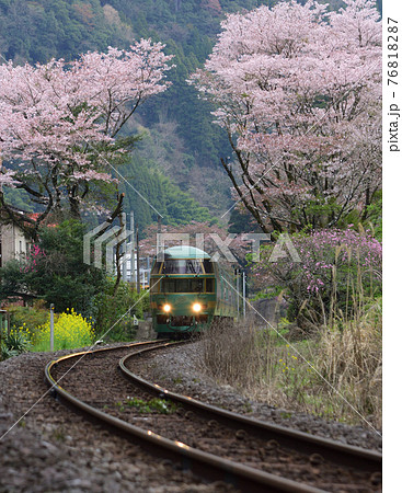 ゆふいんの森号 ゆふいんの森号 76818287