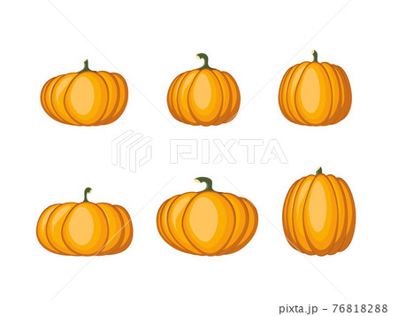 Autumn pumpkins vector 76818288