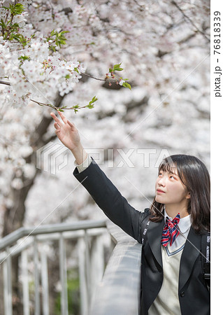 桜と女子高生 桜と女子高生 76818339
