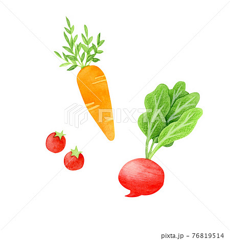 手描き水彩｜野菜のイラスト 76819514