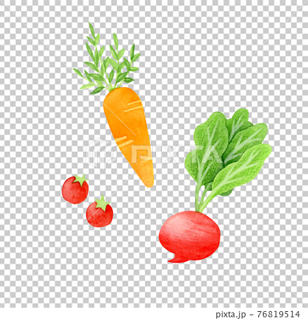 手描き水彩｜野菜のイラスト 76819514