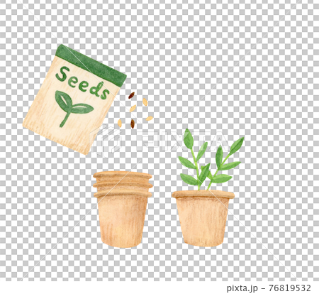 手描き水彩｜ハーブと種のイラスト 76819532