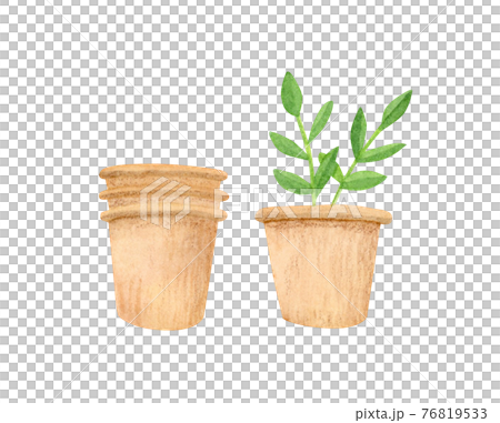 手描き水彩｜ハーブのイラスト 76819533