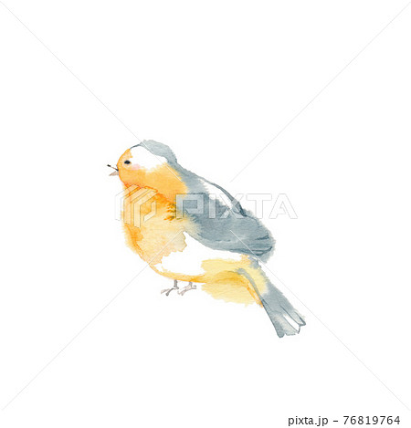 可愛いオレンジ色の小鳥 左向きのイラスト素材