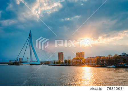 Rotterdam skyline cityscape with Erasmusbrug bridge over Nieuwe Maas in contre-jur on sunse, Netherlands. 76820034
