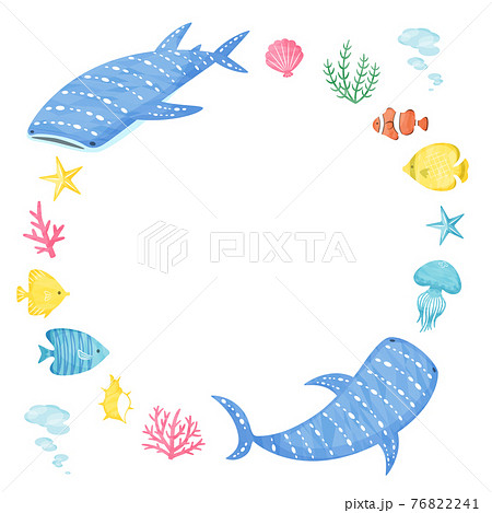 海の生き物 海の生き物 76822241