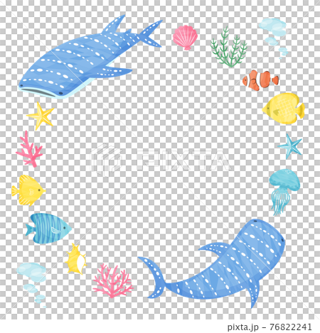 海の生き物 海の生き物 76822241