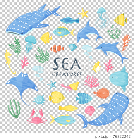 Sea creatures 76822242