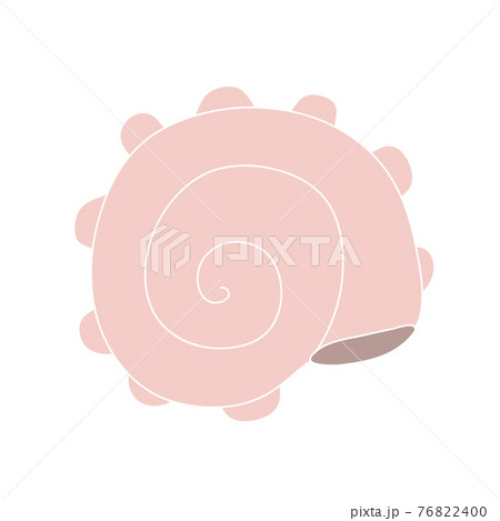 Beautiful curly seashell on an isolated background. Malyusk in the sink. 76822400