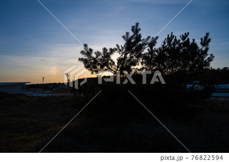 A silhouette of a tree wit a beautiful sunset sky in the background. Picture from Sweden A silhouette of a tree wit a beautiful sunset sky in the background. Picture from Sweden 76822594