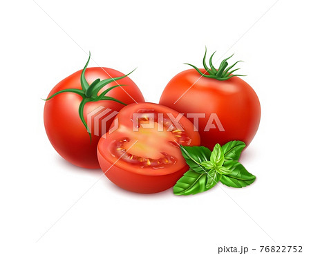Realistic Detailed 3d Tomato Slices and Whole and Basil Leaves Set. Vector 76822752