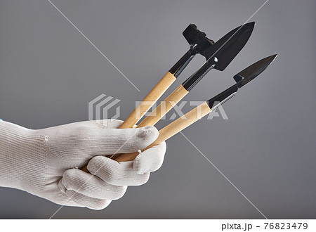 Hand in new pure white glove holding gardening tools isolated on gray background. 76823479