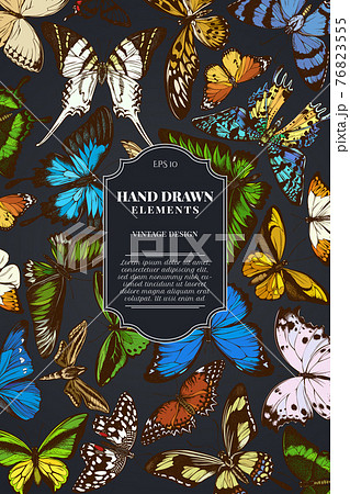 Card design on dark background with great orange-tip, emerald swallowtail, jungle queens, plain Card design on dark background with great orange-tip, emerald swallowtail, jungle queens, plain 76823555