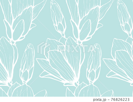 Seamless pattern with hand drawn magnolia flower. Vector illustration. Botanical pattern for textiles and wallpapers 76826223