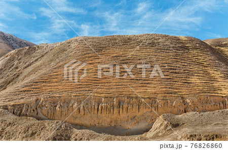 canyon of the OG riverbed at dawn 76826860