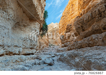 canyon of the OG riverbed at dawn canyon of the OG riverbed at dawn 76826867