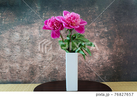 和室においた白い花瓶とシャクヤクの写真素材