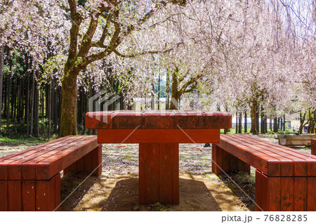 キャンプ場のテーブル～竹田地区のしだれ桜【たけくらべ広場】 76828285