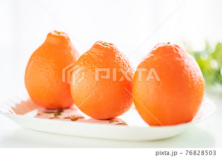 フロリダ州生まれミネオラオレンジ フロリダ州生まれミネオラオレンジ 76828503