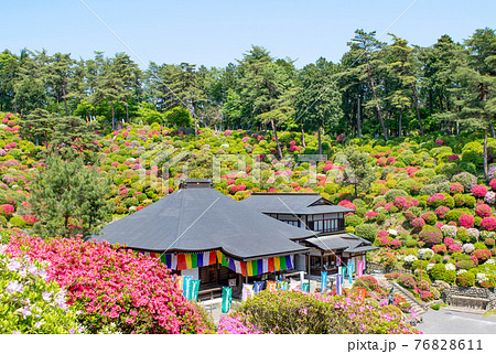 青梅市 塩船観音 ツツジまつりの写真素材 青梅市 塩船観音 ツツジまつりの写真素材