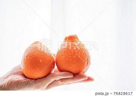 フロリダ州生まれミネオラオレンジ フロリダ州生まれミネオラオレンジ 76828617