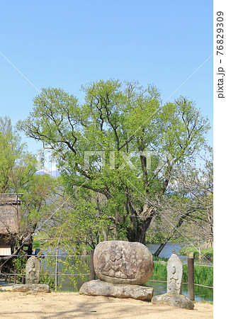 安曇野　わさび田の道祖神 76829309