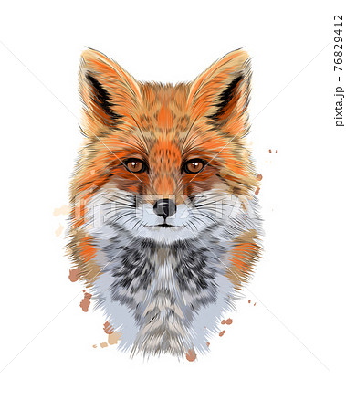 Fox head portrait from a splash of watercolor, colored drawing, realistic 76829412
