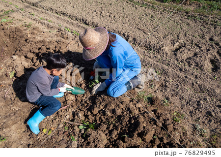いもほり 76829495