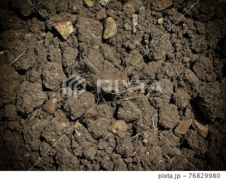 ground texture ground texture 76829980