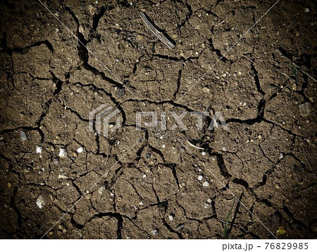 ground texture 76829985