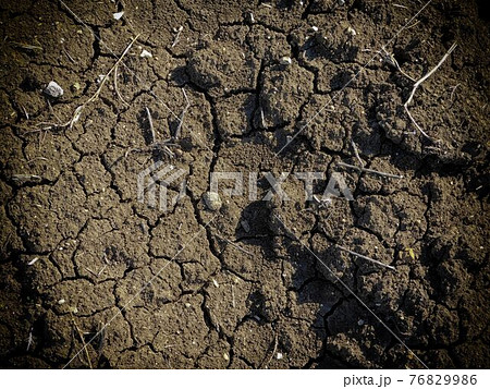 ground texture ground texture 76829986
