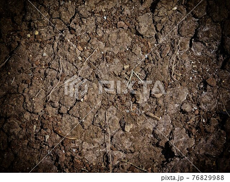 ground texture 76829988