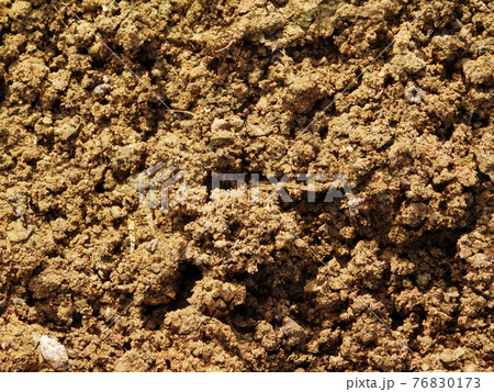 ground texture 76830173