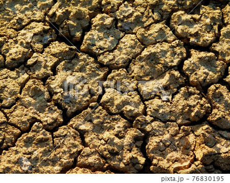 ground texture ground texture 76830195