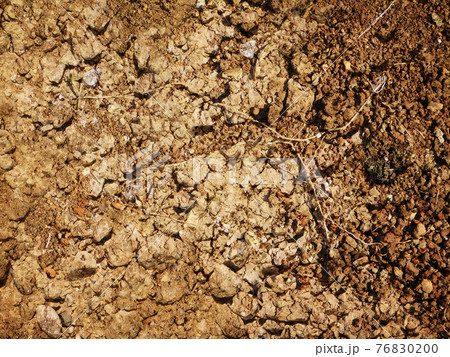 ground texture ground texture 76830200