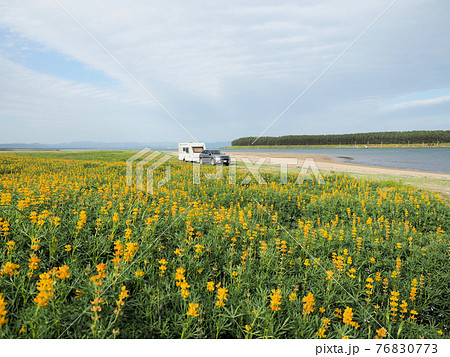 柏原海岸 ルーピンとキャンピングトレーラー 鹿児島県肝属郡東串良町川東の写真素材