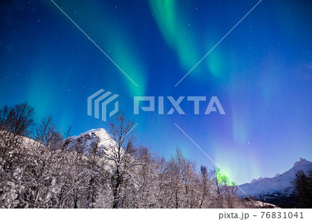 オーロラ鑑賞を楽しむ日々 76831041