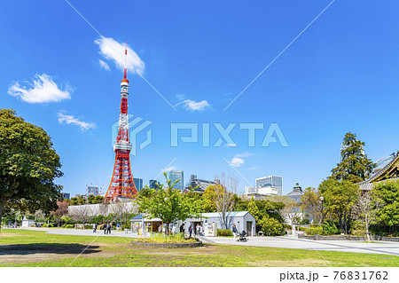 【東京都】春の芝公園から見える東京タワー 76831762