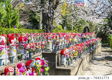 【東京都】増上寺の境内に並ぶたくさんのお地蔵様 【東京都】増上寺の境内に並ぶたくさんのお地蔵様 76831773
