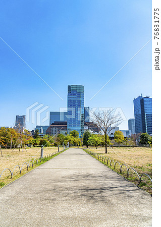 【東京都】春の芝公園から見えるビル群 【東京都】春の芝公園から見えるビル群 76831775