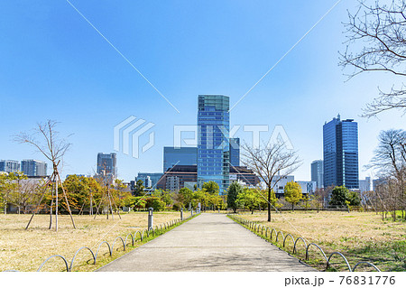 【東京都】春の芝公園から見えるビル群 【東京都】春の芝公園から見えるビル群 76831776