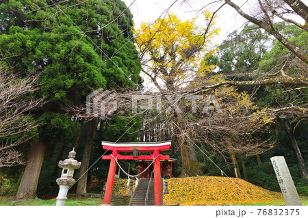 鷹屋神社 鷹屋神社 76832375
