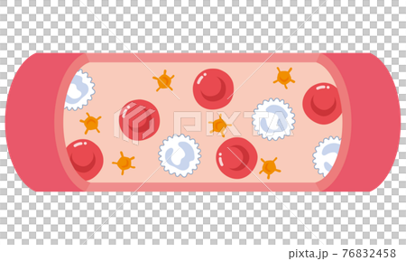 Red blood cells flowing in blood vessels White blood cells Platelets Red blood cells flowing in blood vessels White blood cells Platelets 76832458