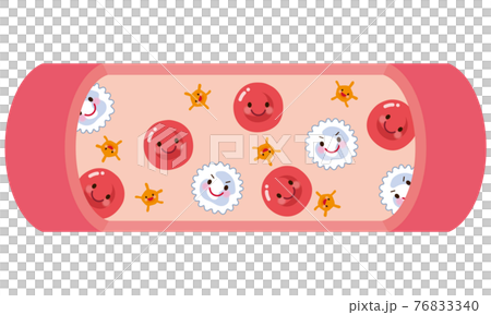 Red blood cells flowing in blood vessels White blood cells Platelets 76833340