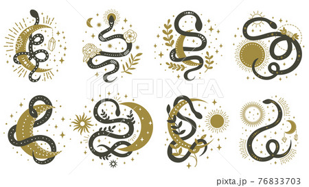 Mystical snakes. Floral boho and astrology minimalist elements with wriggling snakes vector illustration set. Magic spiritual snake symbols 76833703