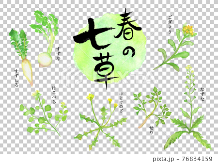 水彩で描いた春の七草のイラスト 76834159