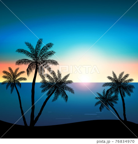 Realistic Sea Sunset On The Background Of Palm のイラスト素材