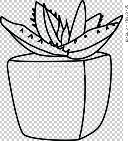 多肉植物の線画スタイルイラスト 76835730
