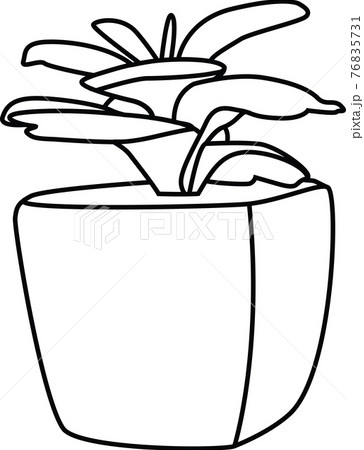 多肉植物の線画スタイルアイコンのセット 76835731
