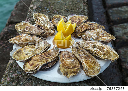 Plate with dozen oysters 76837263
